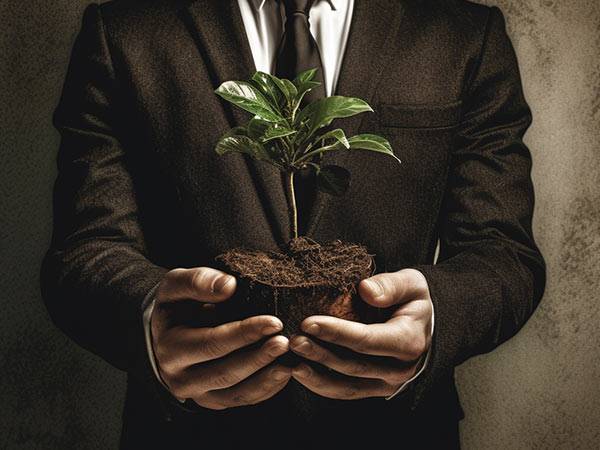 La fiscalité des entreprises en LLD : TVS, Malus et autres taxes